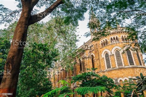 Universitas Mumbai